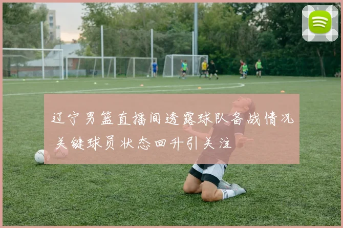 辽宁男篮直播间透露球队备战情况 关键球员状态回升引关注