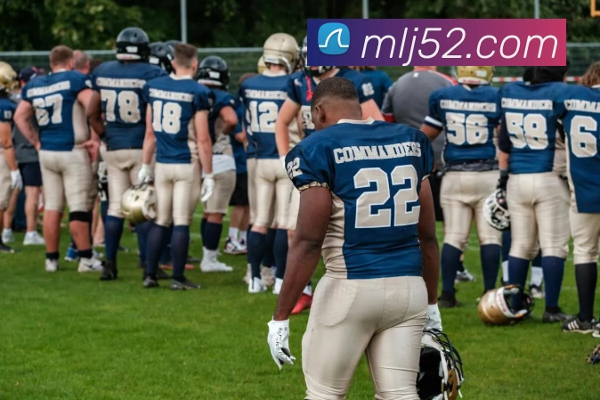 星空官方网页版服务体系